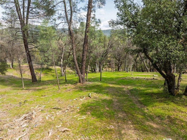 0 Springwood Ct, Oakhurst, CA 93644