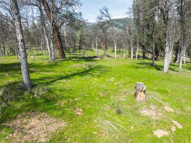 0 Springwood Ct, Oakhurst, CA 93644