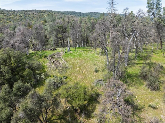 0 Springwood Ct, Oakhurst, CA 93644