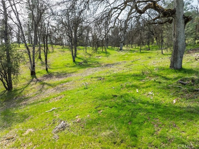 0 Springwood Ct, Oakhurst, CA 93644