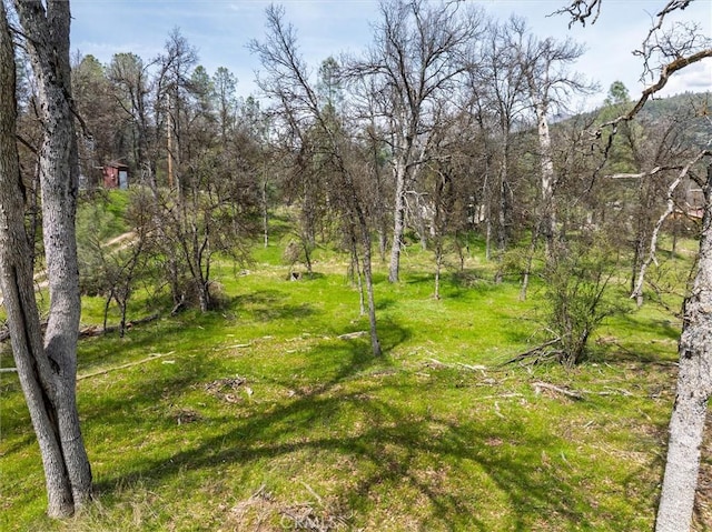 0 Springwood Ct, Oakhurst, CA 93644