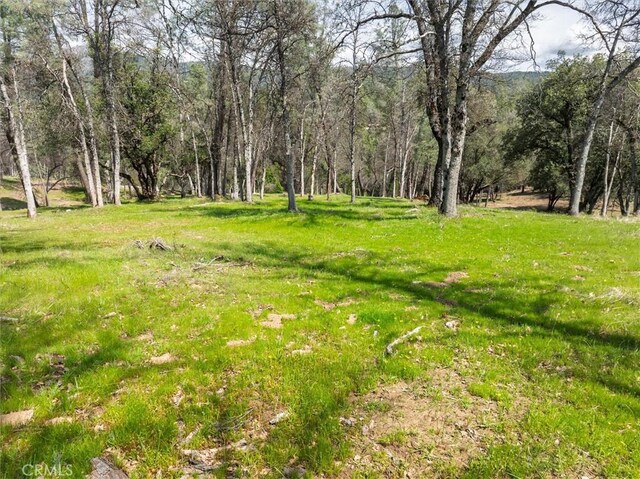 0 Springwood Ct, Oakhurst, CA 93644
