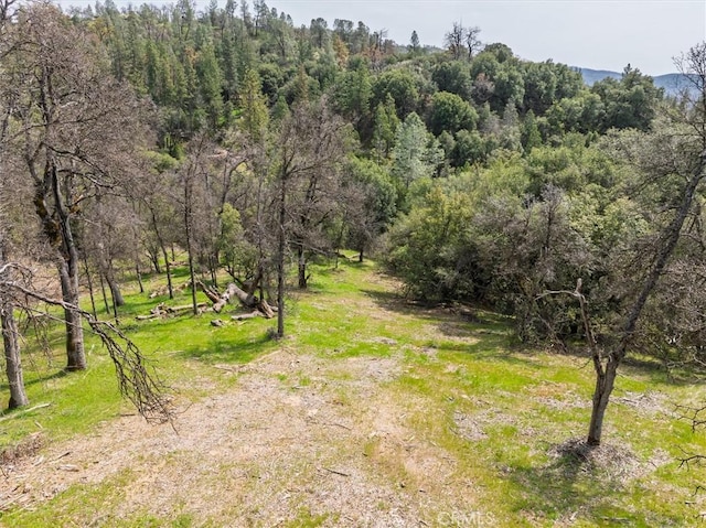 0 Springwood Ct, Oakhurst, CA 93644