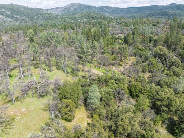 0 Springwood Ct, Oakhurst, CA 93644