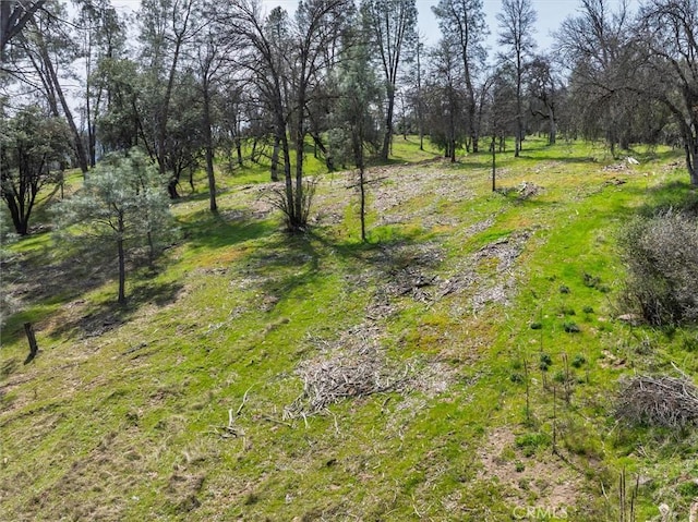 0 Springwood Ct, Oakhurst, CA 93644
