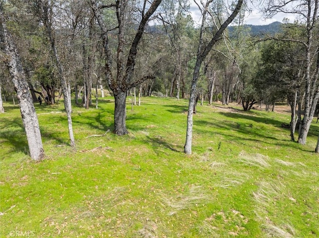 0 Springwood Ct, Oakhurst, CA 93644