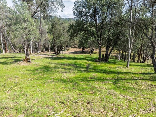 0 Springwood Ct, Oakhurst, CA 93644