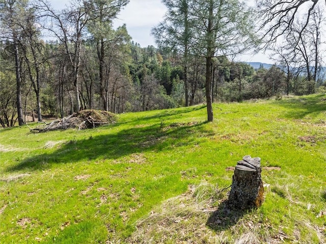 0 Springwood Ct, Oakhurst, CA 93644
