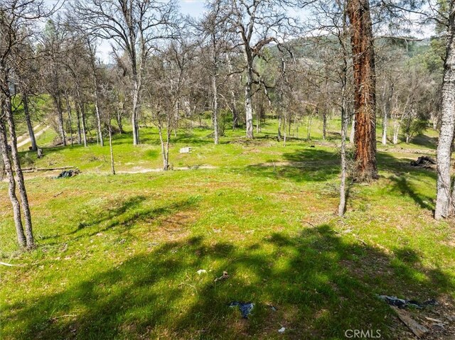0 Springwood Ct, Oakhurst, CA 93644