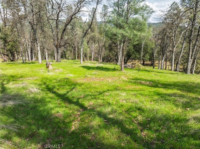 0 Springwood Ct, Oakhurst, CA 93644