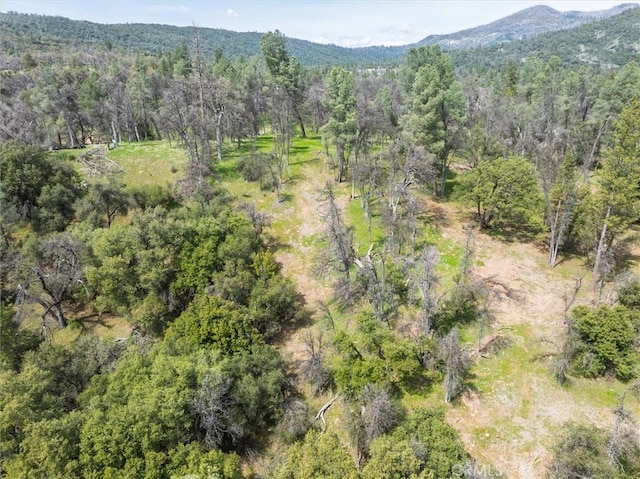 0 Springwood Ct, Oakhurst, CA 93644