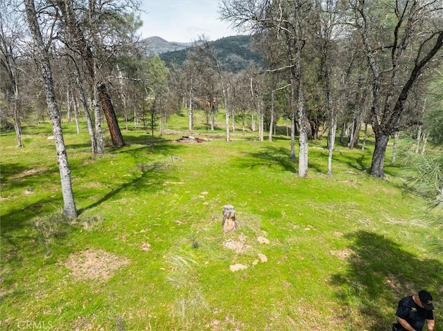 0 Springwood Ct, Oakhurst, CA 93644