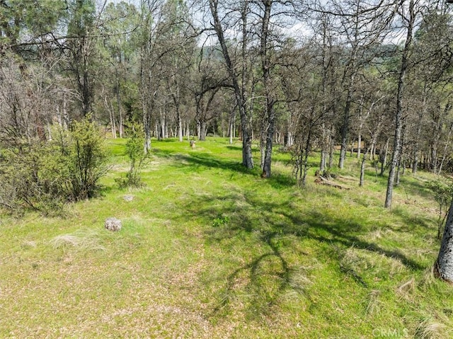 0 Springwood Ct, Oakhurst, CA 93644