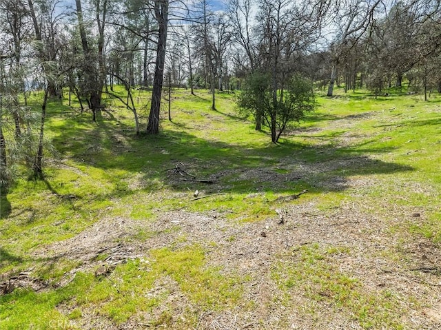 0 Springwood Ct, Oakhurst, CA 93644