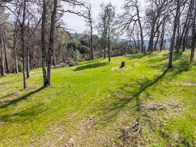 0 Springwood Ct, Oakhurst, CA 93644