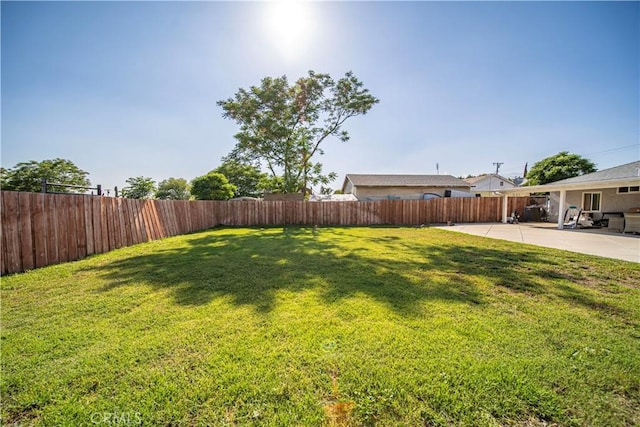 view of yard featuring a patio area