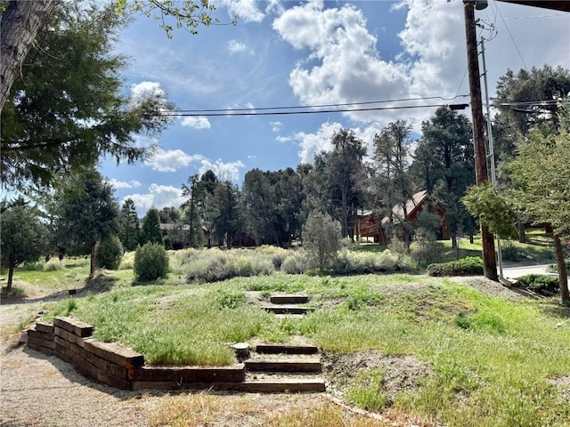 14721 Voltaire Dr, Pine Mountain Club, CA 93225 - view of yard