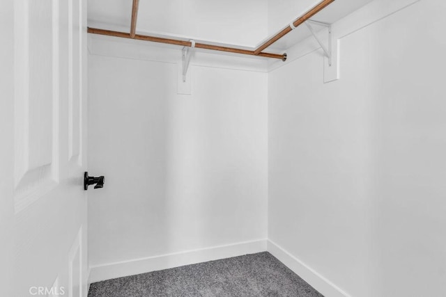 spacious closet with carpet