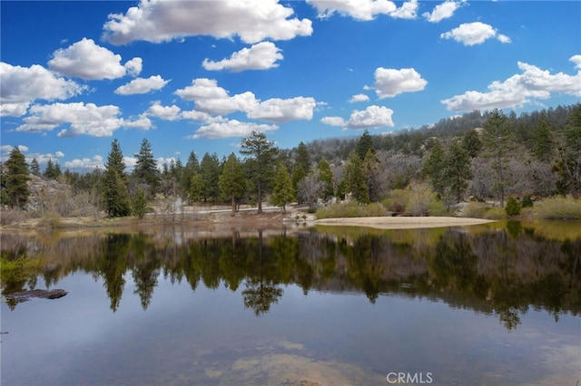 2368 Pine Dr, Running Springs, CA 92382 - water view featuring a forest