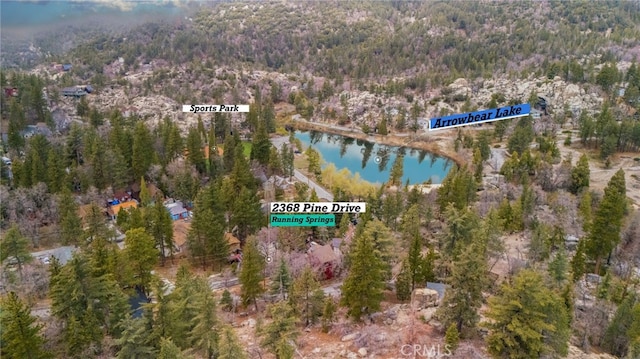 2368 Pine Dr, Running Springs, CA 92382 - aerial view of property and surrounding area with a heavily wooded area
