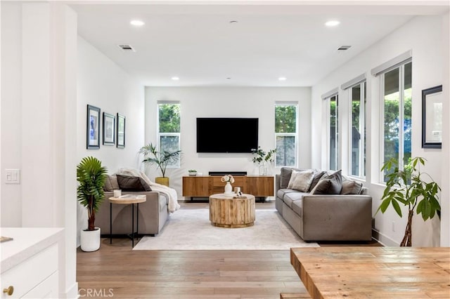 1253 Viejo Hills Dr, Lake Forest, CA 92610 - living area with plenty of natural light, light wood finished floors, and recessed lighting