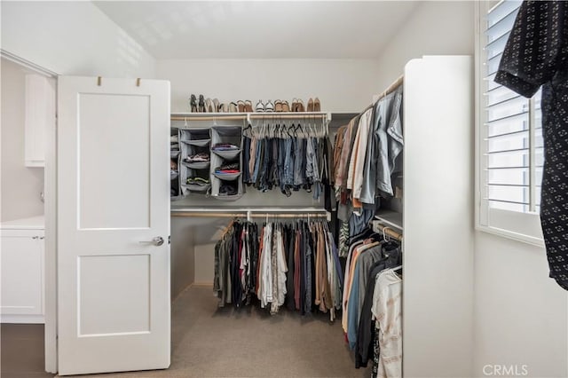 1253 Viejo Hills Dr, Lake Forest, CA 92610 - spacious closet with carpet