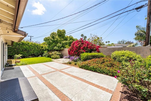 view of yard featuring a patio and a fenced backyard