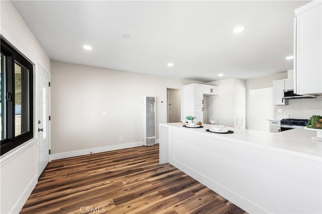 kitchen with recessed lighting, a heating unit, dark wood finished floors, and range