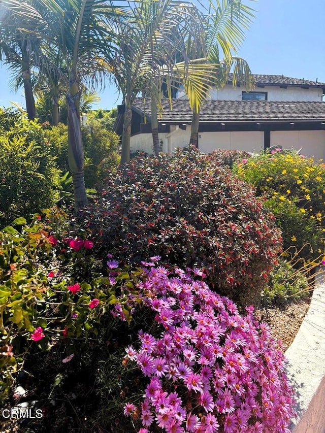 1780 Hillcrest Dr, Ventura, CA 93001 - photo 48