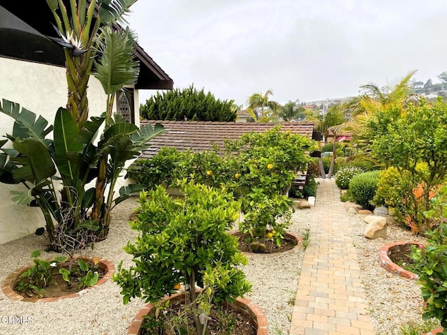 1780 Hillcrest Dr, Ventura, CA 93001 - photo 44