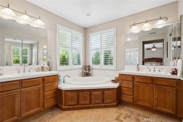 ensuite bathroom with a sink, ensuite bath, and a wealth of natural light