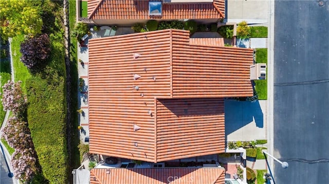 bird's eye view