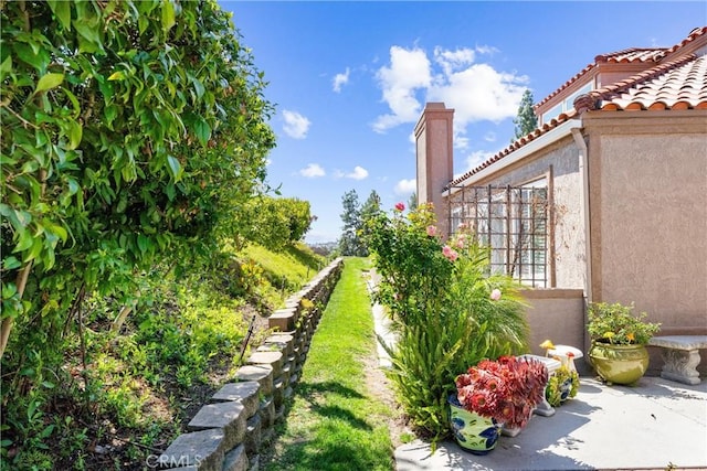 view of yard
