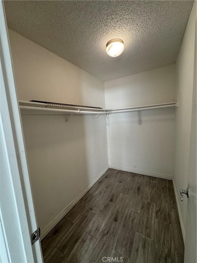 walk in closet featuring dark wood-style flooring