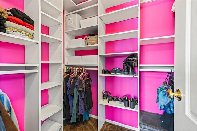 27118 Highlands Ln, Valencia, CA 91354 - walk in closet with carpet