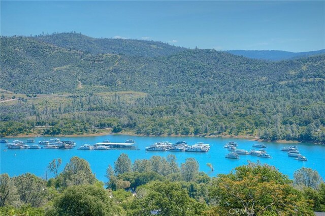 water view with a view of trees and a mountain view