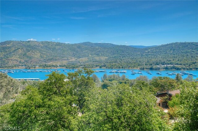 property view of mountains featuring a water view and a forest view