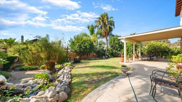 view of yard featuring a patio