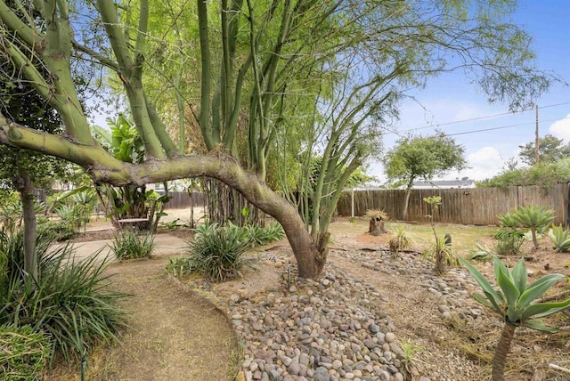 1265 Dawnridge Ave, El Cajon, CA 92021 - view of fenced backyard