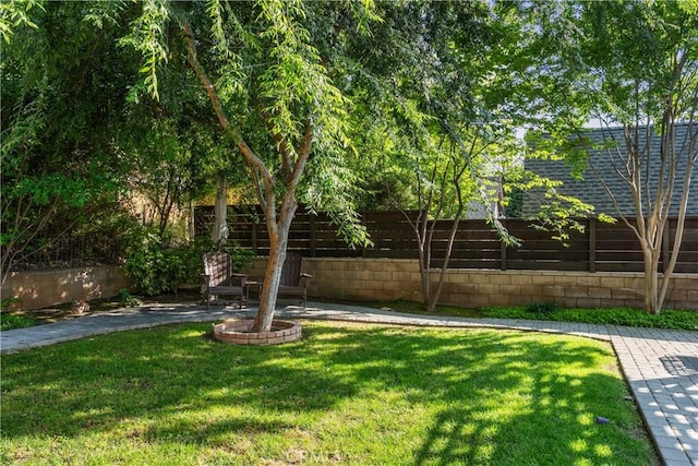 view of yard featuring a fenced backyard