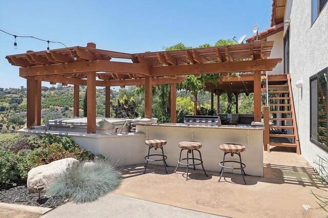 view of patio with outdoor wet bar