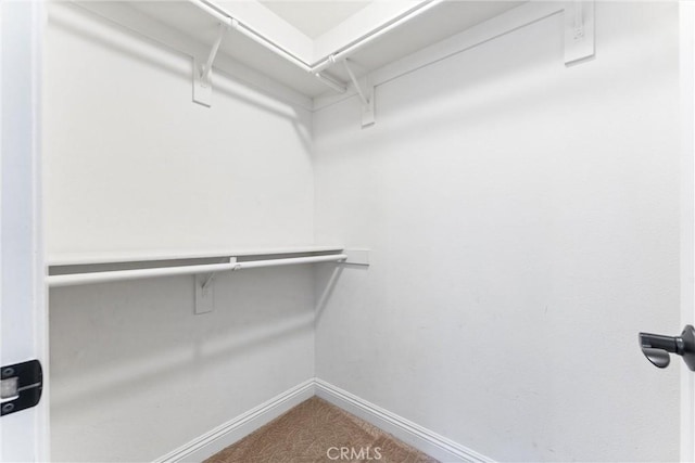 spacious closet with carpet flooring