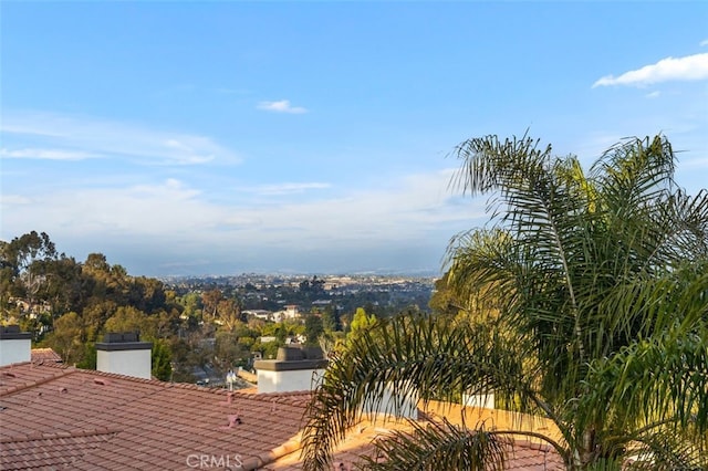 30902 Clubhouse Dr Unit 16H, Laguna Niguel, CA 92677 - photo 33