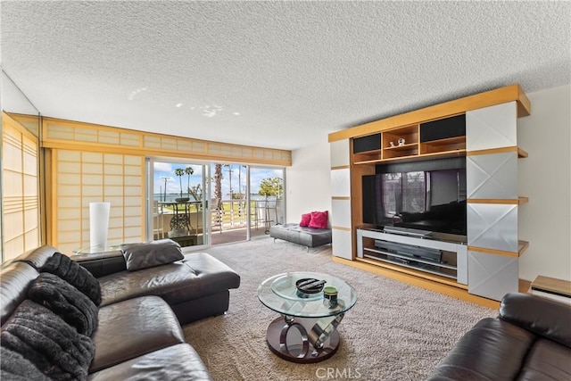 living room featuring carpet floors and a textured ceiling