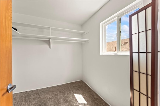 walk in closet featuring carpet
