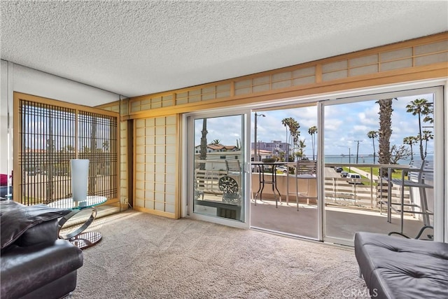 carpeted living area featuring plenty of natural light and a textured ceiling