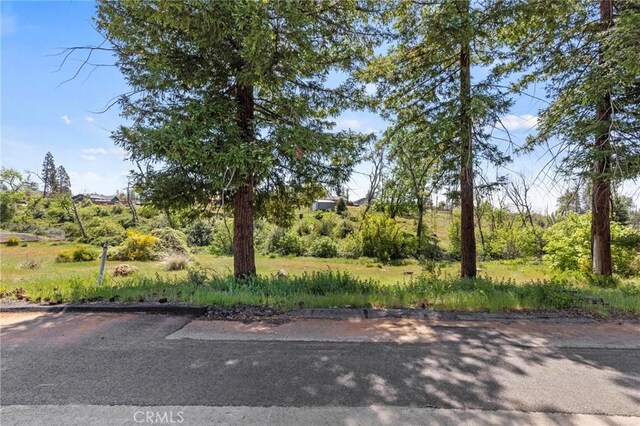 690 Brookhaven Dr, Paradise, CA 95969
