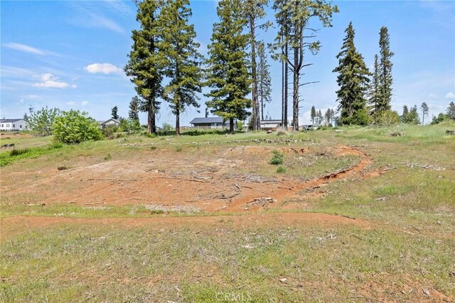 690 Brookhaven Dr, Paradise, CA 95969