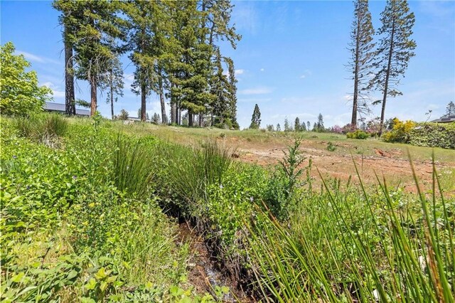 690 Brookhaven Dr, Paradise, CA 95969