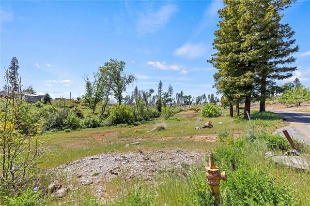 690 Brookhaven Dr, Paradise, CA 95969